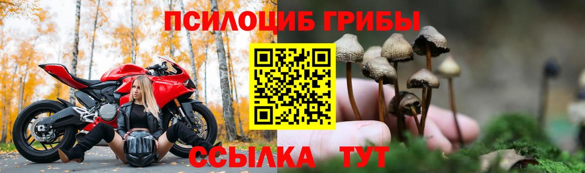 Галлюциногенные грибы ЛСД  Вход с VPN  Галлюциногенные грибы GOLDEN TEACHER  Обнинск 